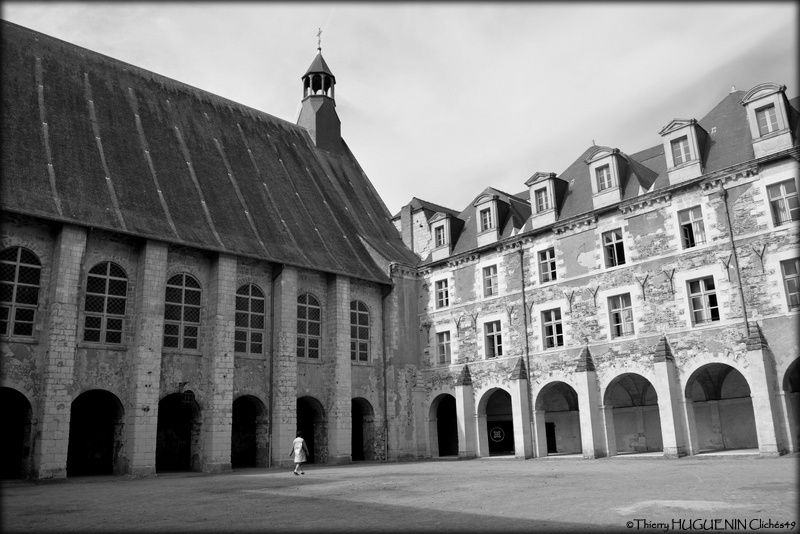 L'abbaye de Ronceray, son cloître, sa crypte...