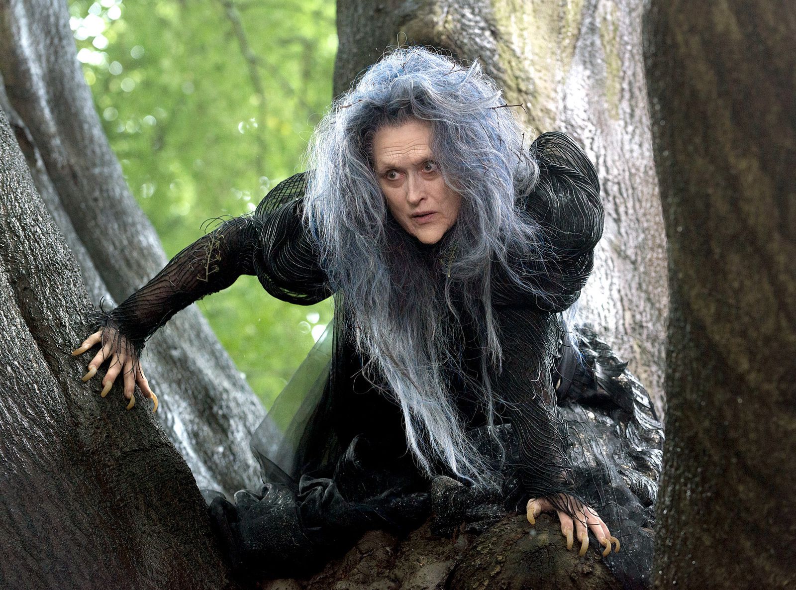 Into the Woods, Promenons-nous dans les bois (BANDE ANNONCE VOST 2014) avec Emily Blunt, Johnny Depp, Meryl Streep