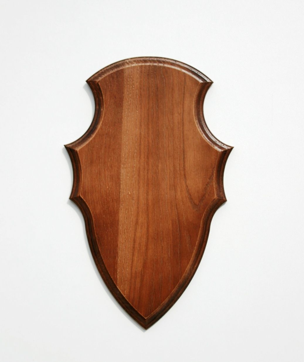 Écusson Trophée De Chasse Pour Massacre De Bœuf, Plus Large Que Haut