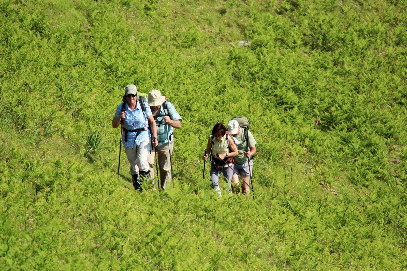 Comme on peut se délivrer des boutons et les anguilles sur la personne