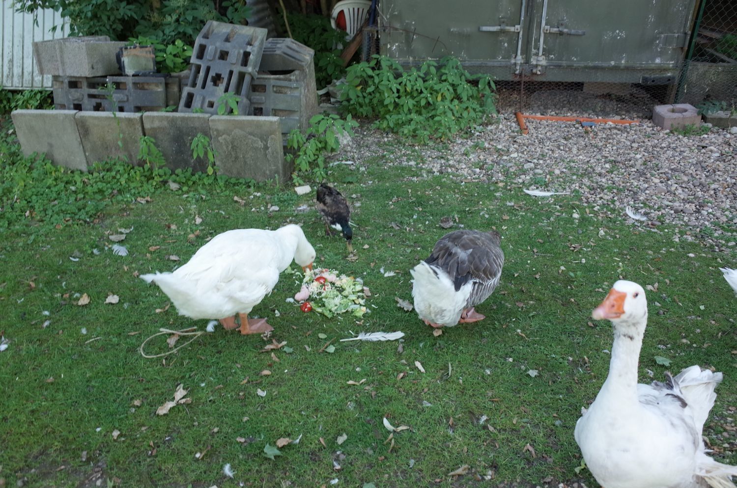 Site de rencontres gauche