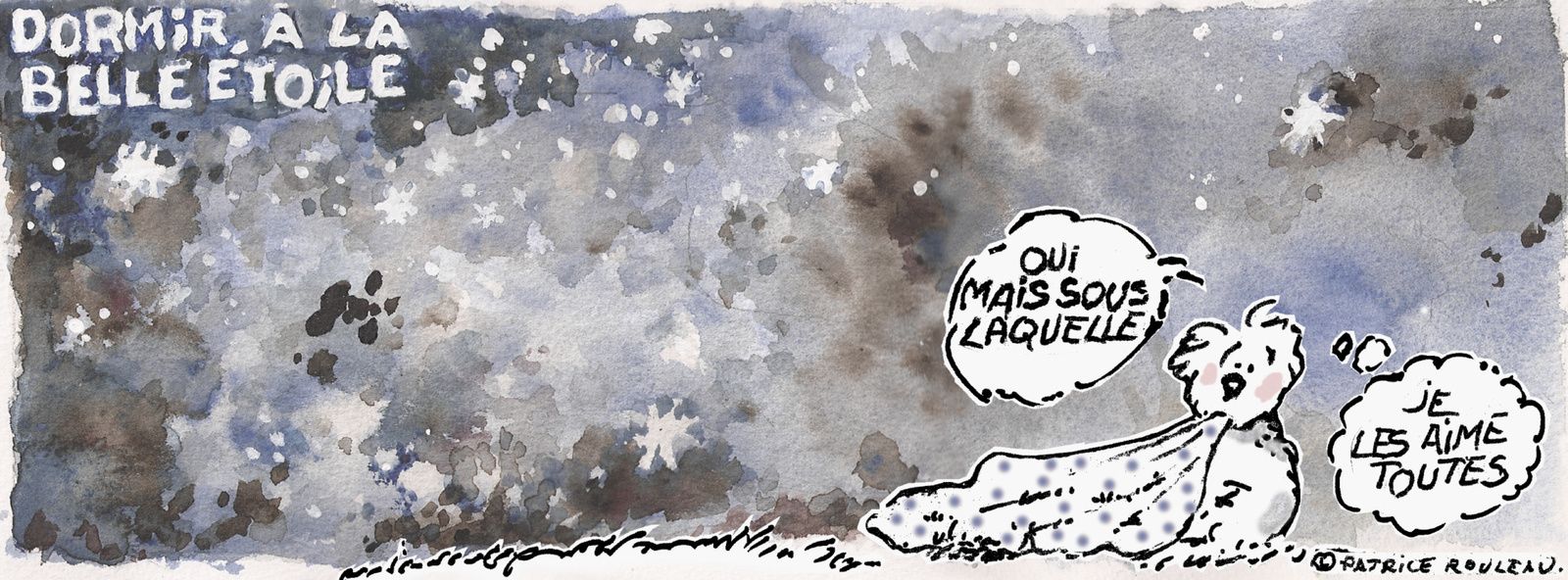 Kaïkou carnet d'estive d'un chien de berger