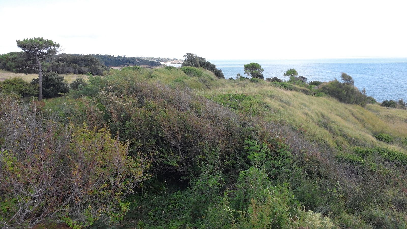 de Didonne Les Royan La Rochelle