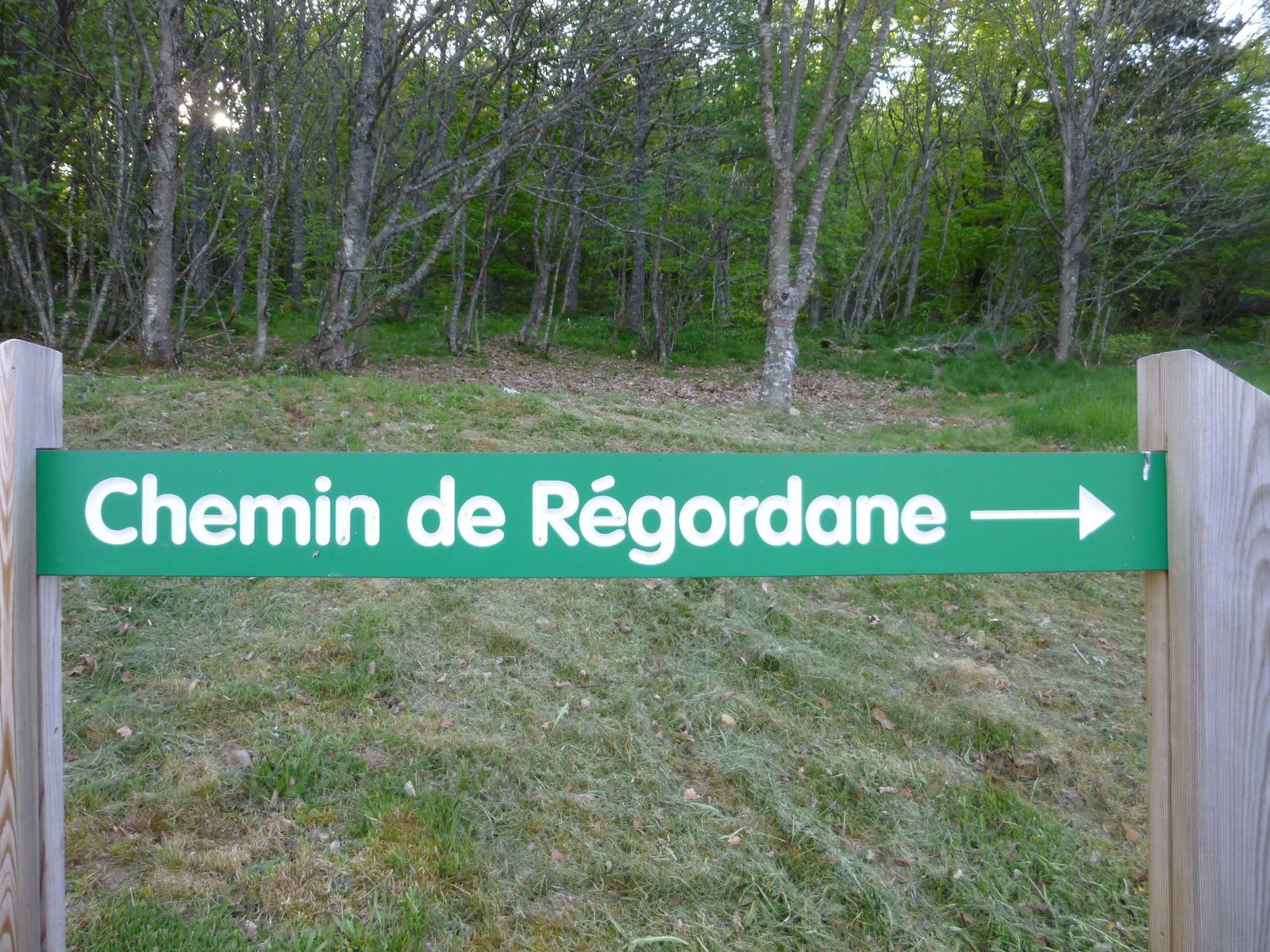le Chemin de Régordane vers St Gilles du Gard