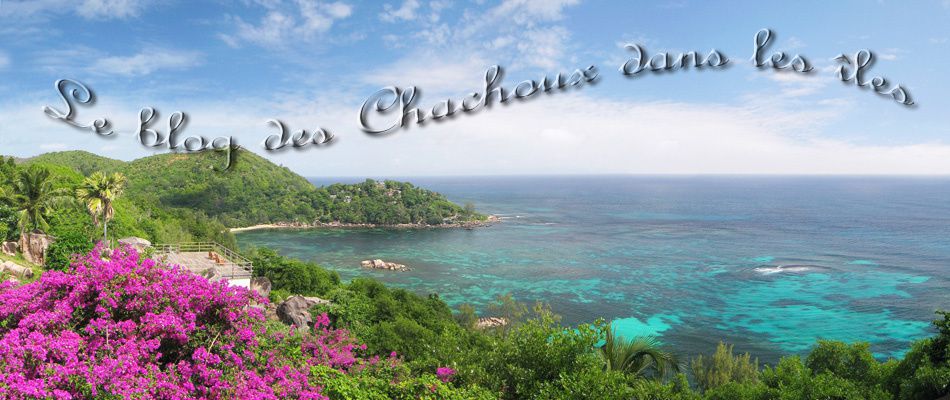 Le blog des Chachoux dans les îles