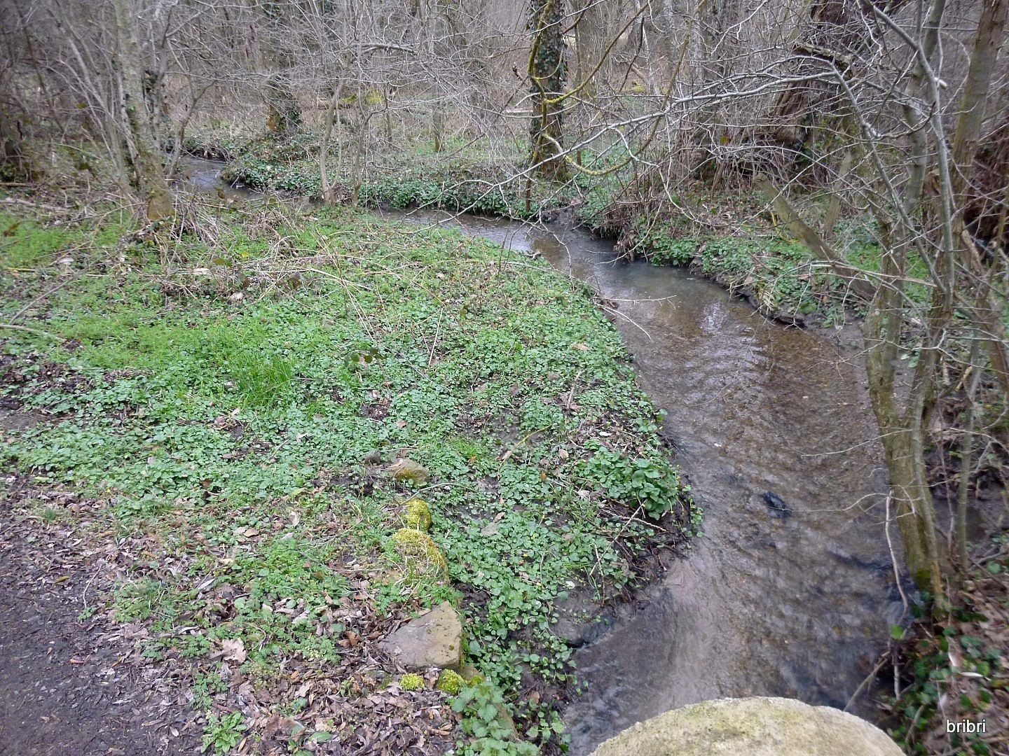 Nous suivons souvent des ruisseaux, dans ce coin il y a: le Mirabel et le Sigadoux.