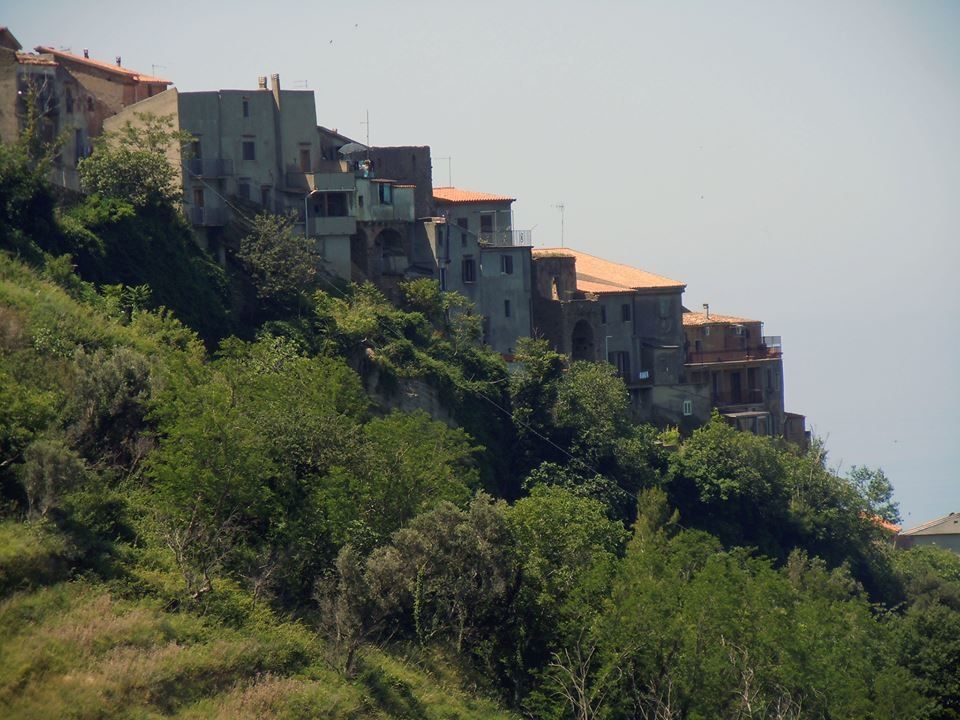 Esenzione IMU per seconda casa concessa in comodato ai