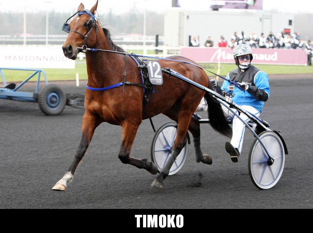 Les champions trotteurs de légende en France 27 - Les années 2010 (Timoko)  - Histoire du Trot