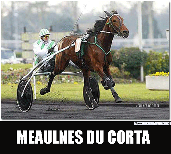 Les champions trotteurs de légende en France 24 Les années 2000