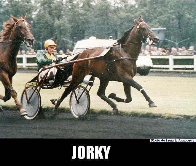 Les trotteurs francais 08 Les champions annees 1980 Jorky Histoire du Trot
