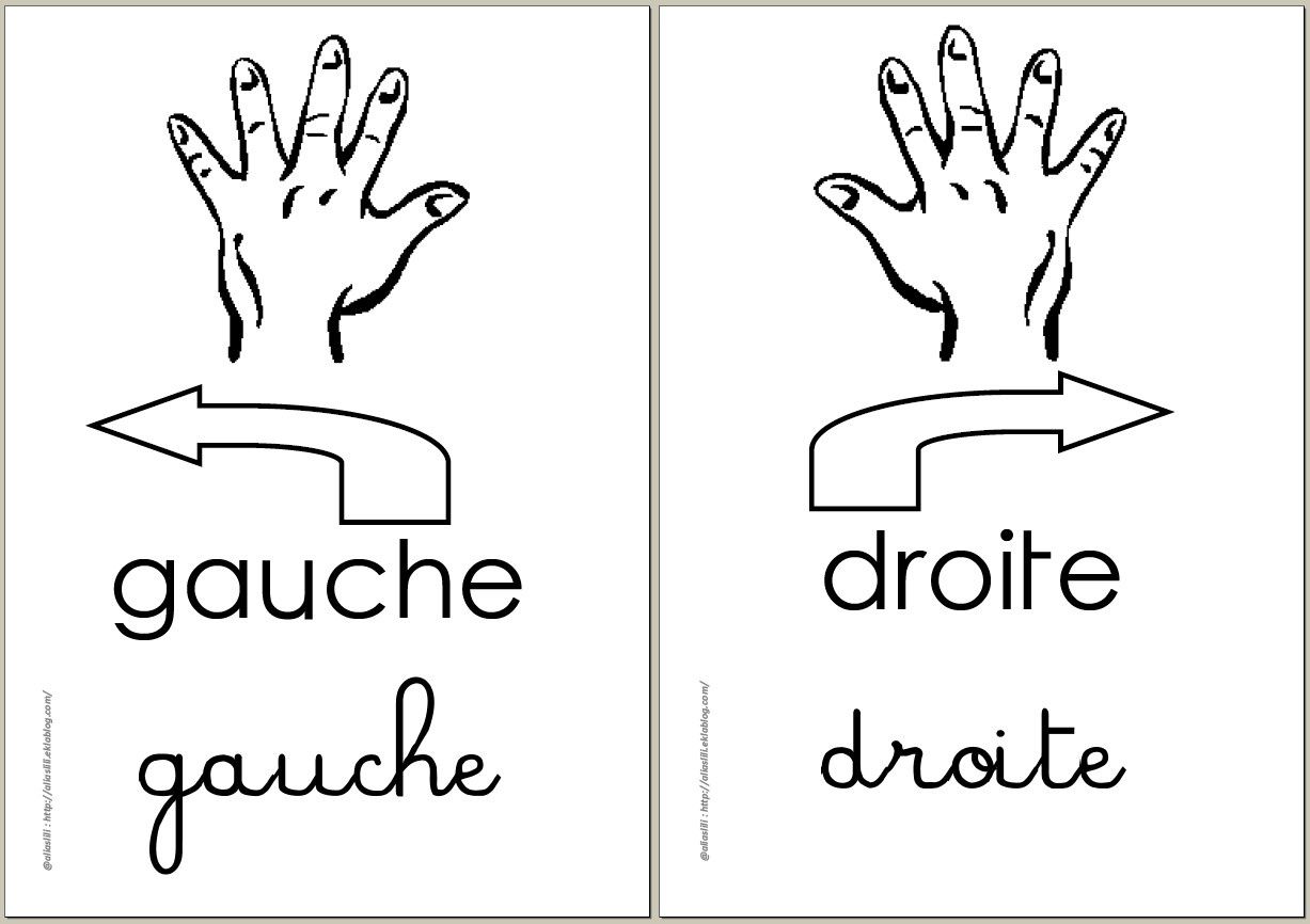 Les infos en provenance de COGNEFORT Ob_f34f557f01005b0687b57a07eb3f9761_main-gauche-main-droite