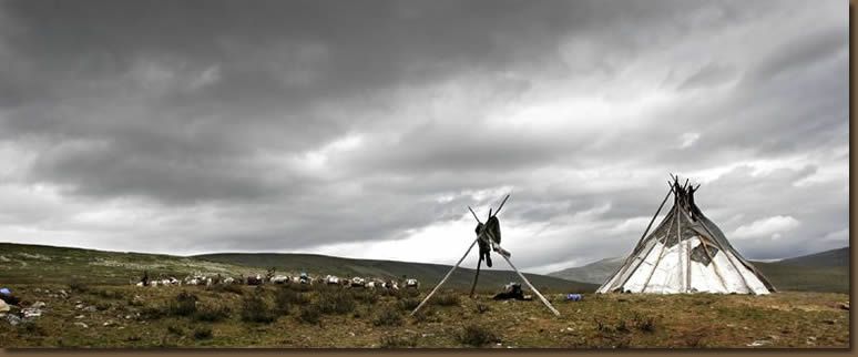 Mongolie : Les tsaatans