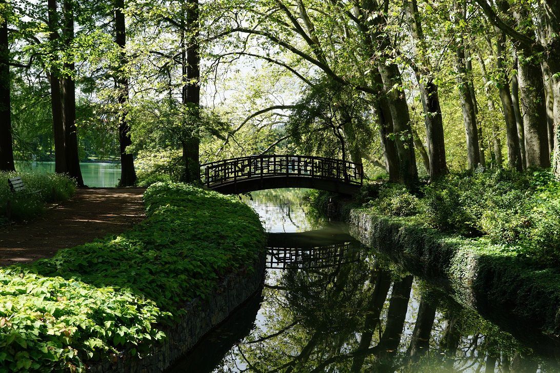 Le parc de La Tête d'or, poumon vert de Lyon 