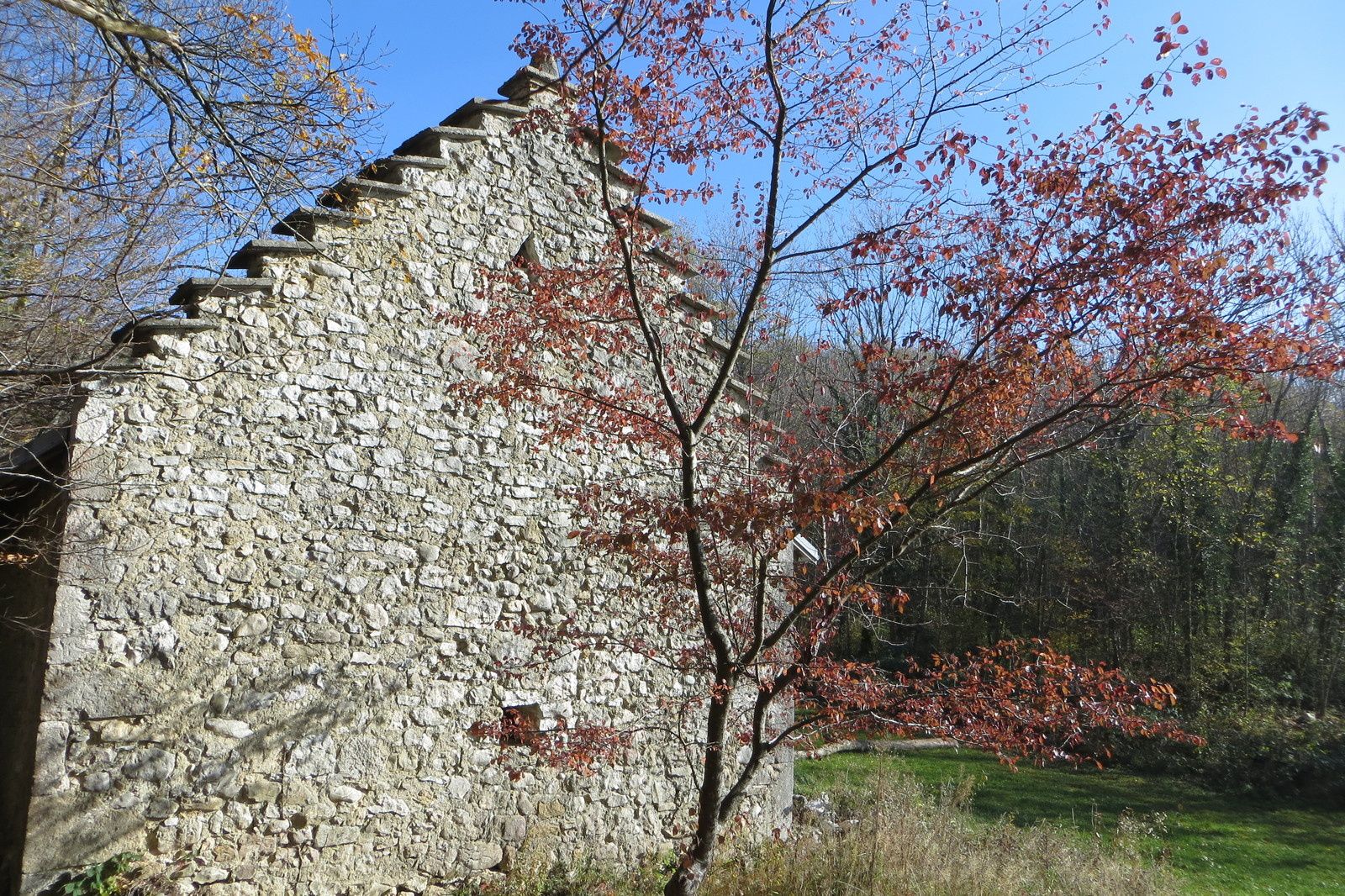 Participez à des captures et marquages de chevreuils et chamois