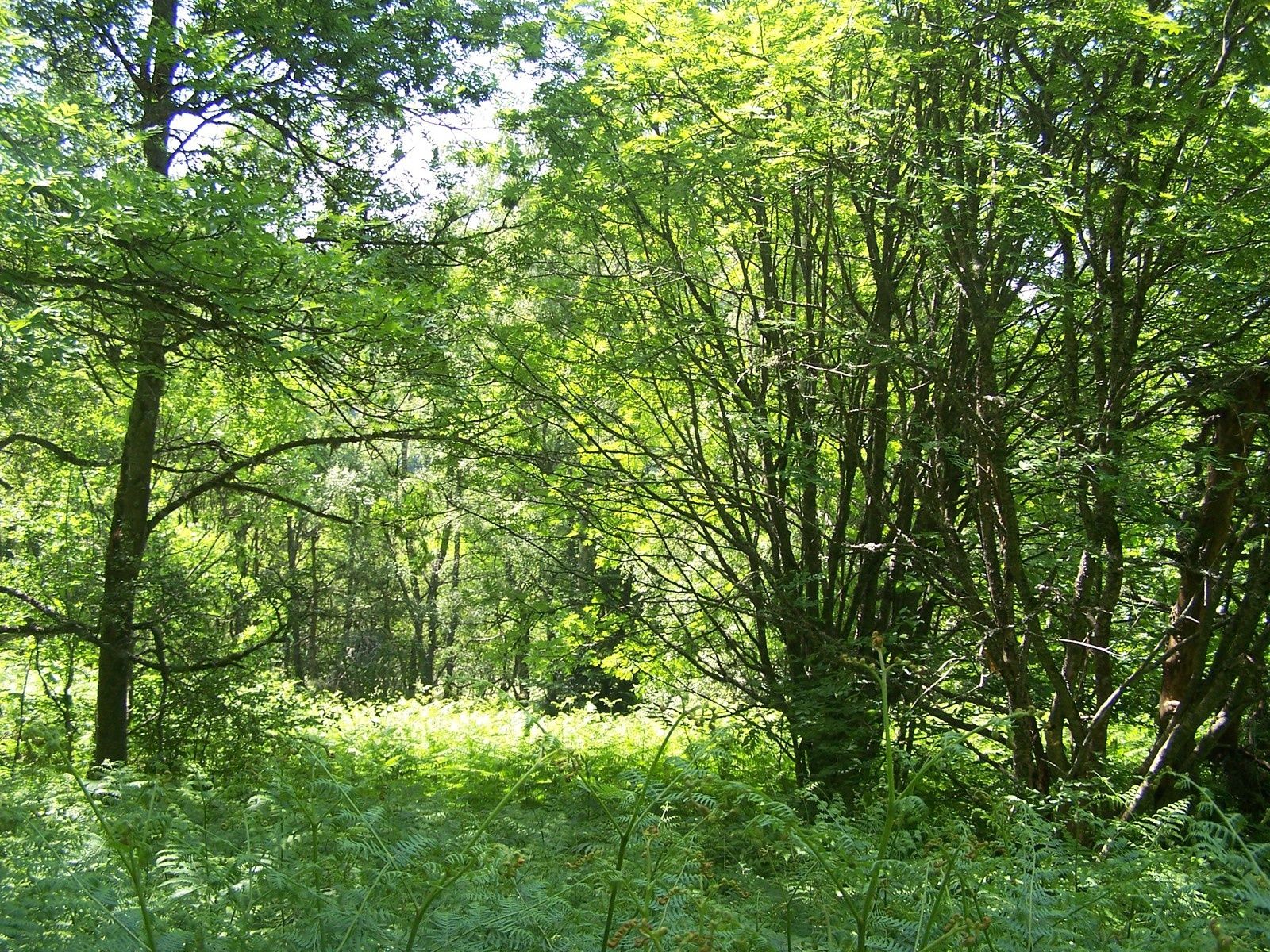 rencontres haute loire