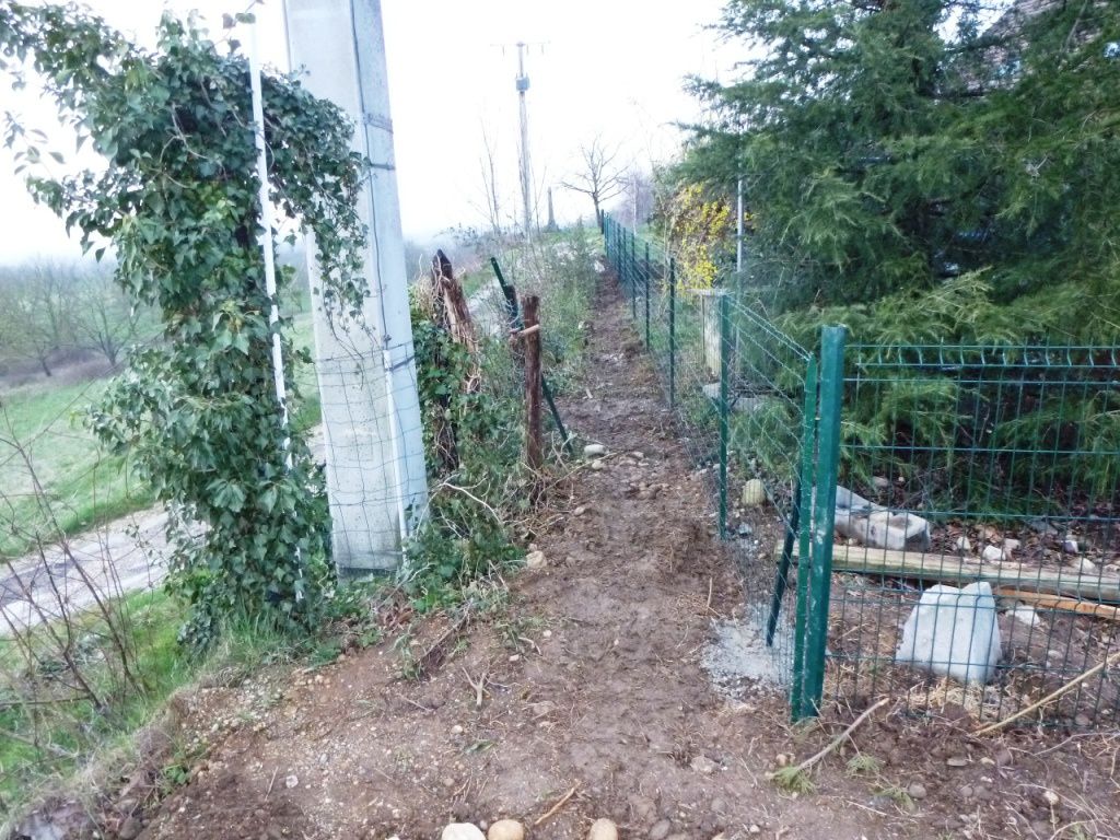 clôture electrique pour chien pas cher