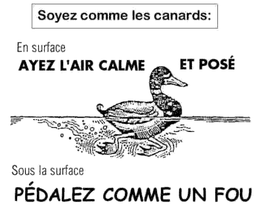 ob_91f781_strategie-du-canard-calme-et-pose-pedalez-comme-u.png