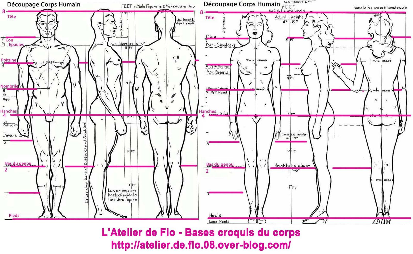 Bases Generales De Dessin Post 1 Et 2