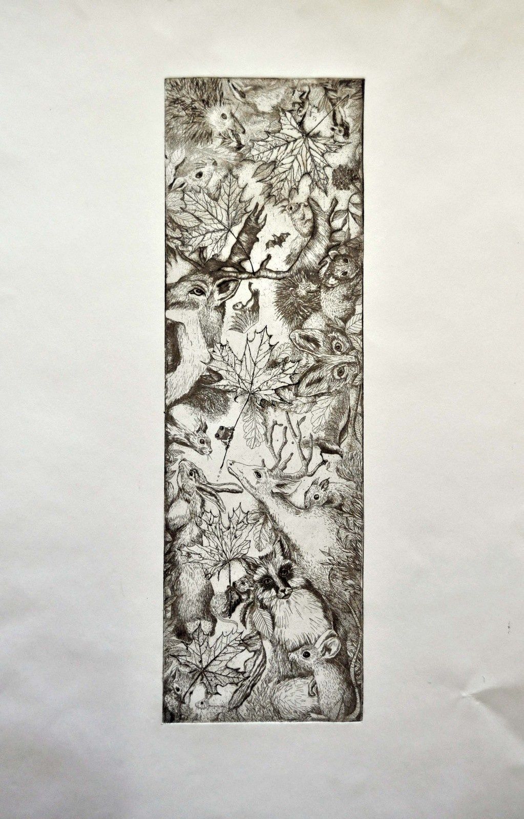 Germination "Animalien" - Gravure eau forte avec verni mou pour les feuilles