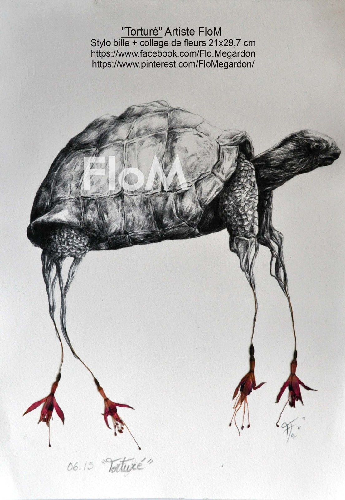dessin-stylo-tortue-