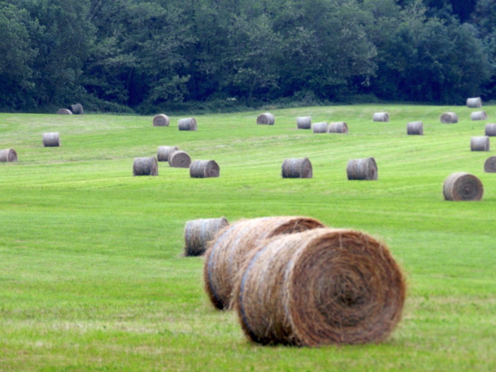 Club de rencontre dans le val doise