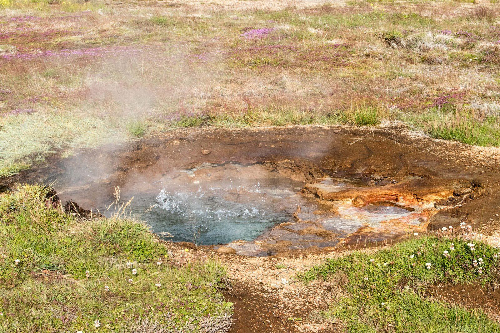 Le geyser Strokkur et le site géothermique.
