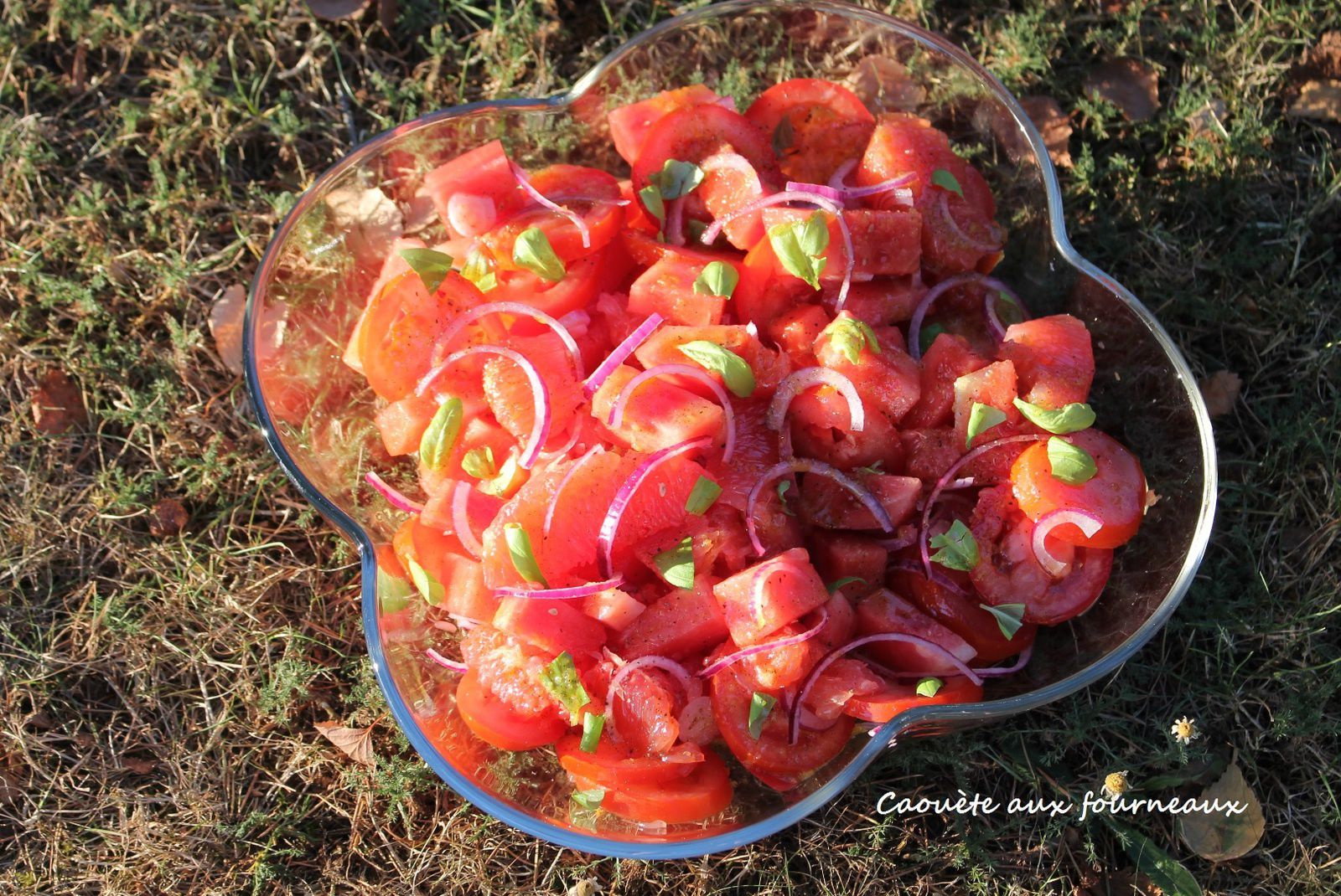 Salade de tomates, pastèque et pamplemousse, vinaigrette à la vanille