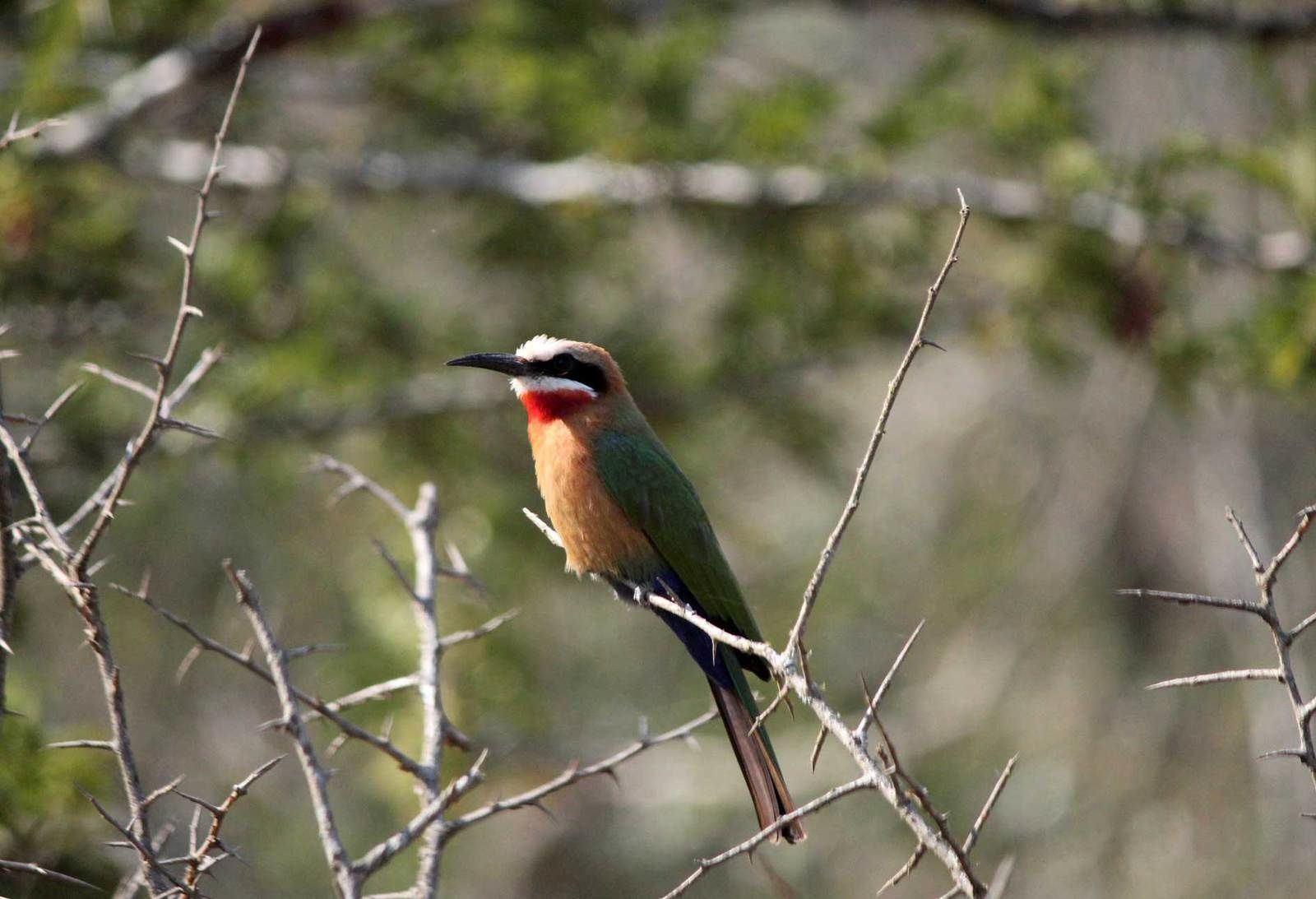 site de rencontres pour quinqua