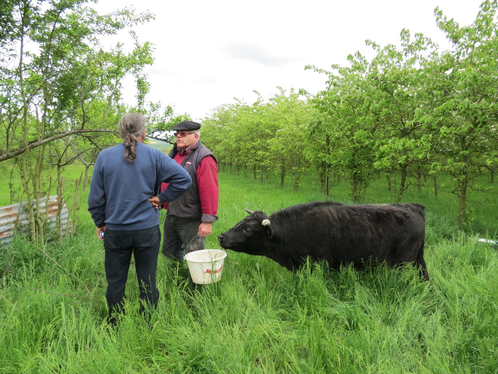 5 à 7 rencontres blog de petite pute 5 à 7 rencontres blog de petite pute