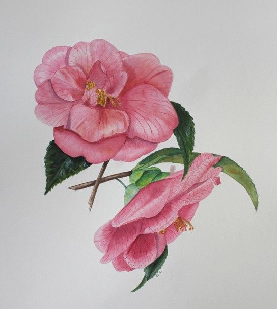 rencontres aquarelles