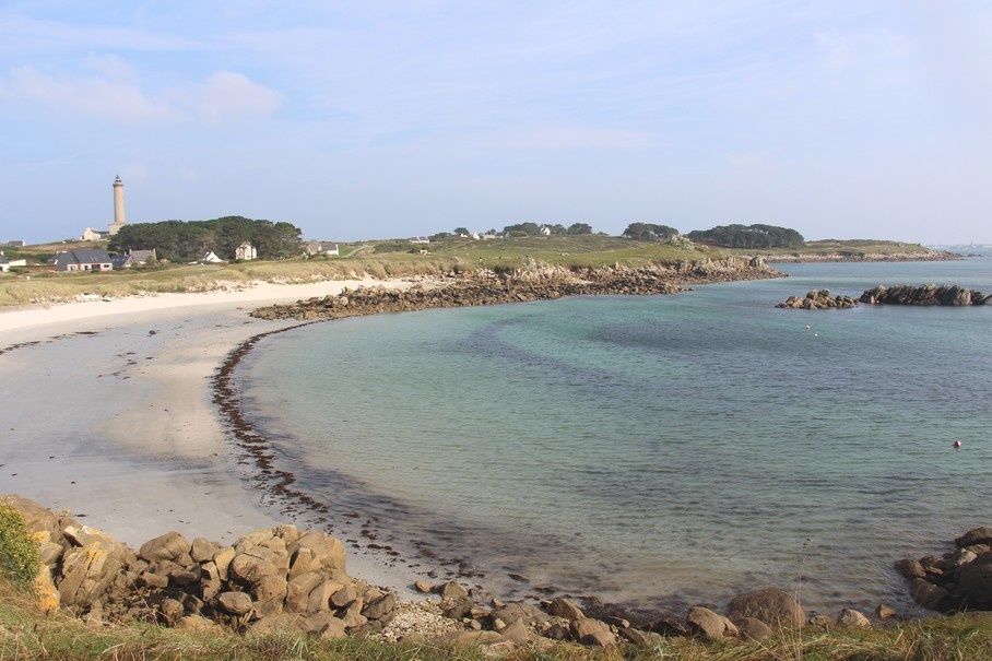 Site rencontre nouvelle zelande