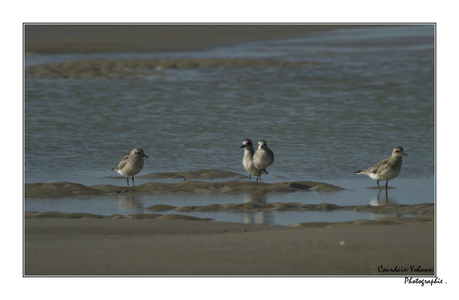 site de rencontre oye plage
