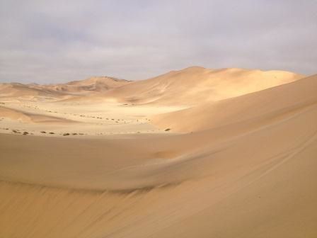 Trop belles ces dunes !!!!