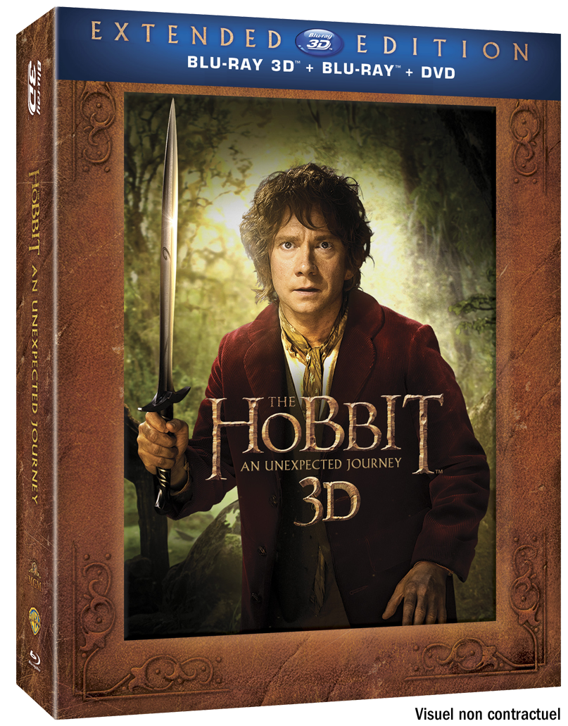 Le Hobbit Un Voyage Inattendu Version Longue Le Hobbit : Un Voyage Inattendu en version longue - Flynn SFFF