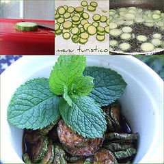 scapece di zucchine