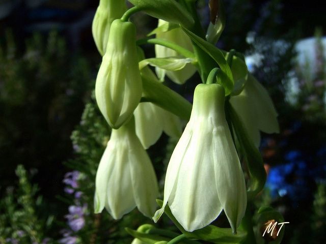 DSCF5494