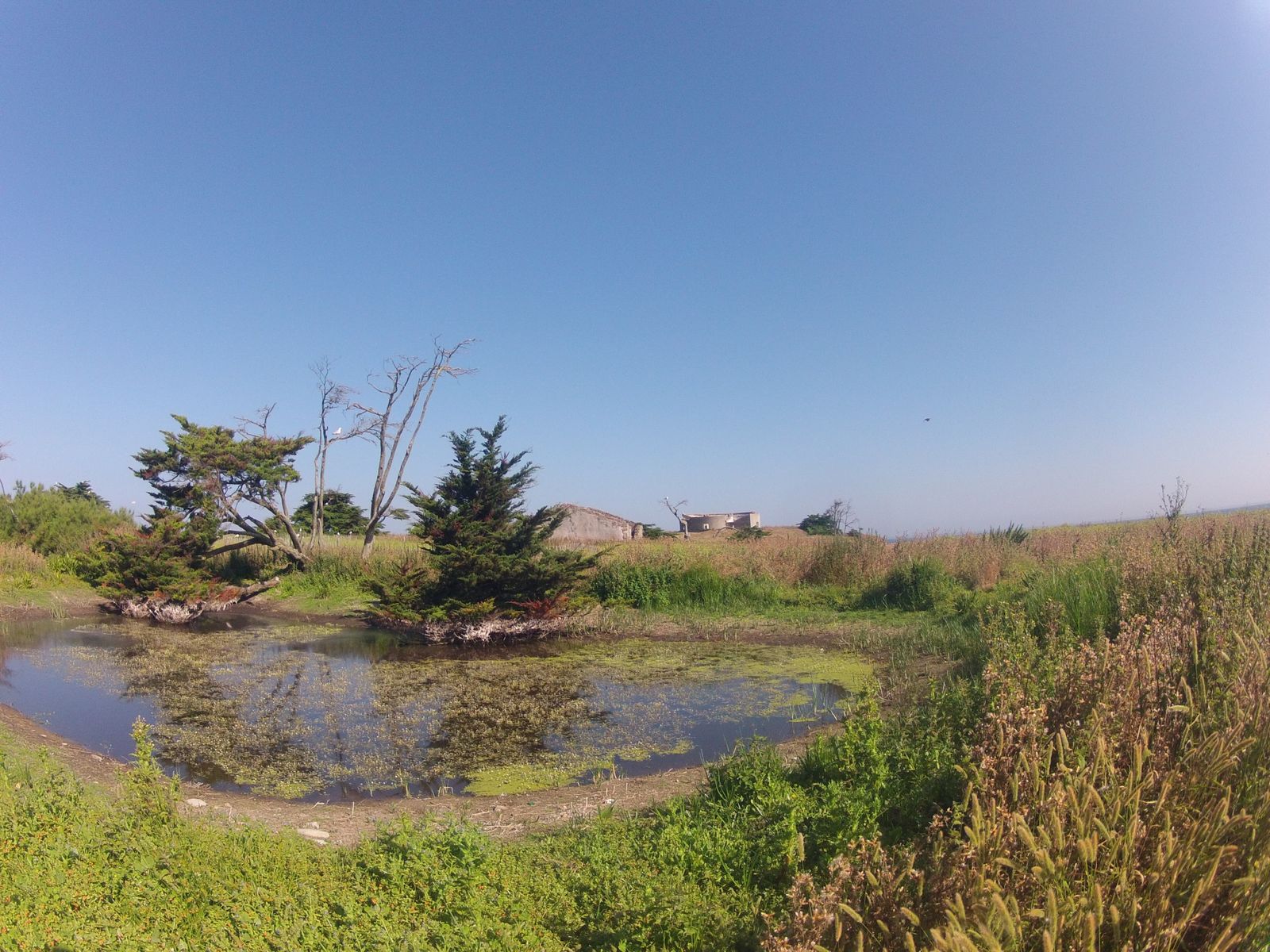 Mouillage de l'ile Dumet