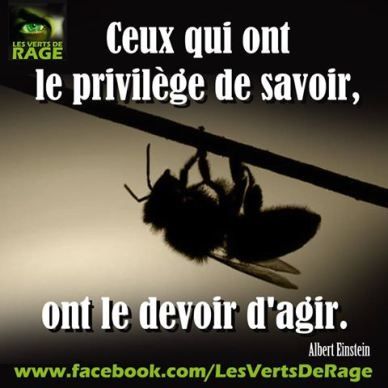 citations sur nouvelles rencontres