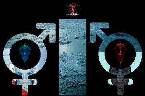 Homosexualite Hermaphrodisme Transsexualisme Faculte De Medecine D Oran Centre Hospitalo Universitaire Service De Medecine Legale