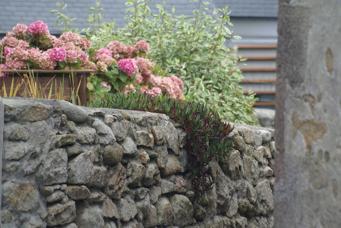 Questions de cailloux