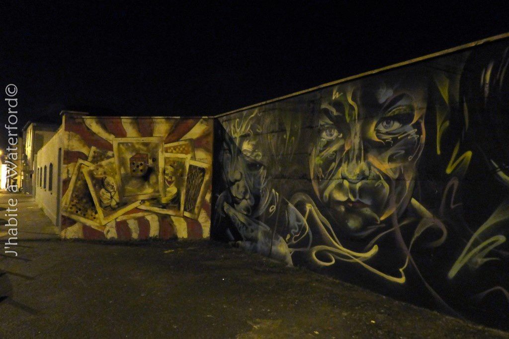 Art de Rue : Waterford Walls Art Project