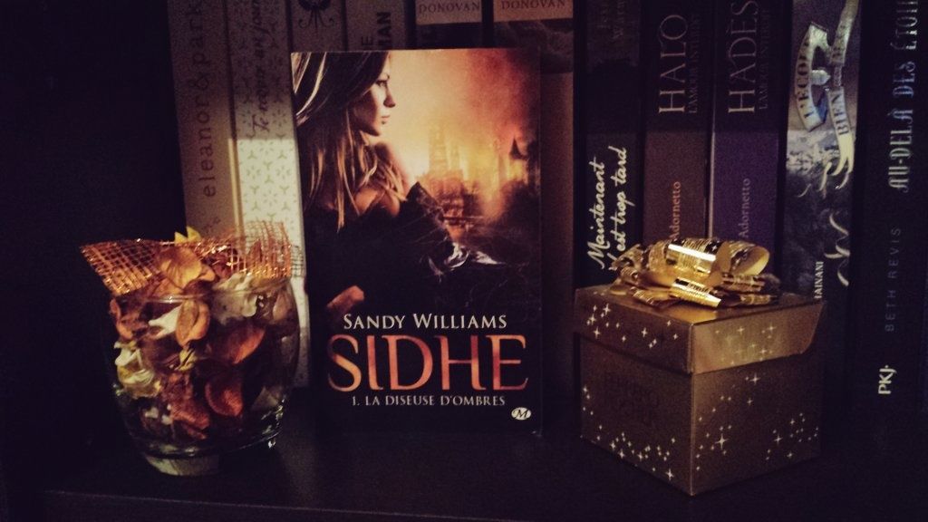 Sidhe, tome 1 : la diseuse d'ombres