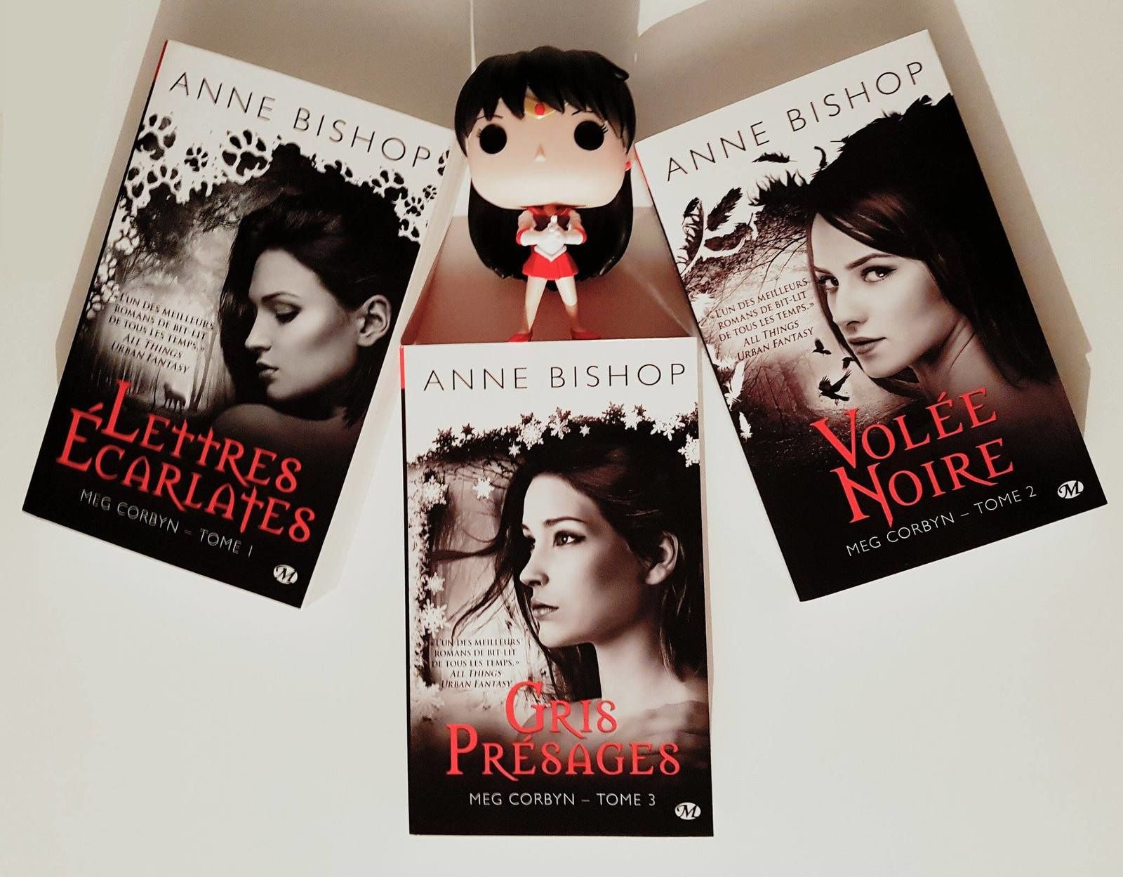 Meg Corbyn, tome 3 : gris présage - Anne Bishop
