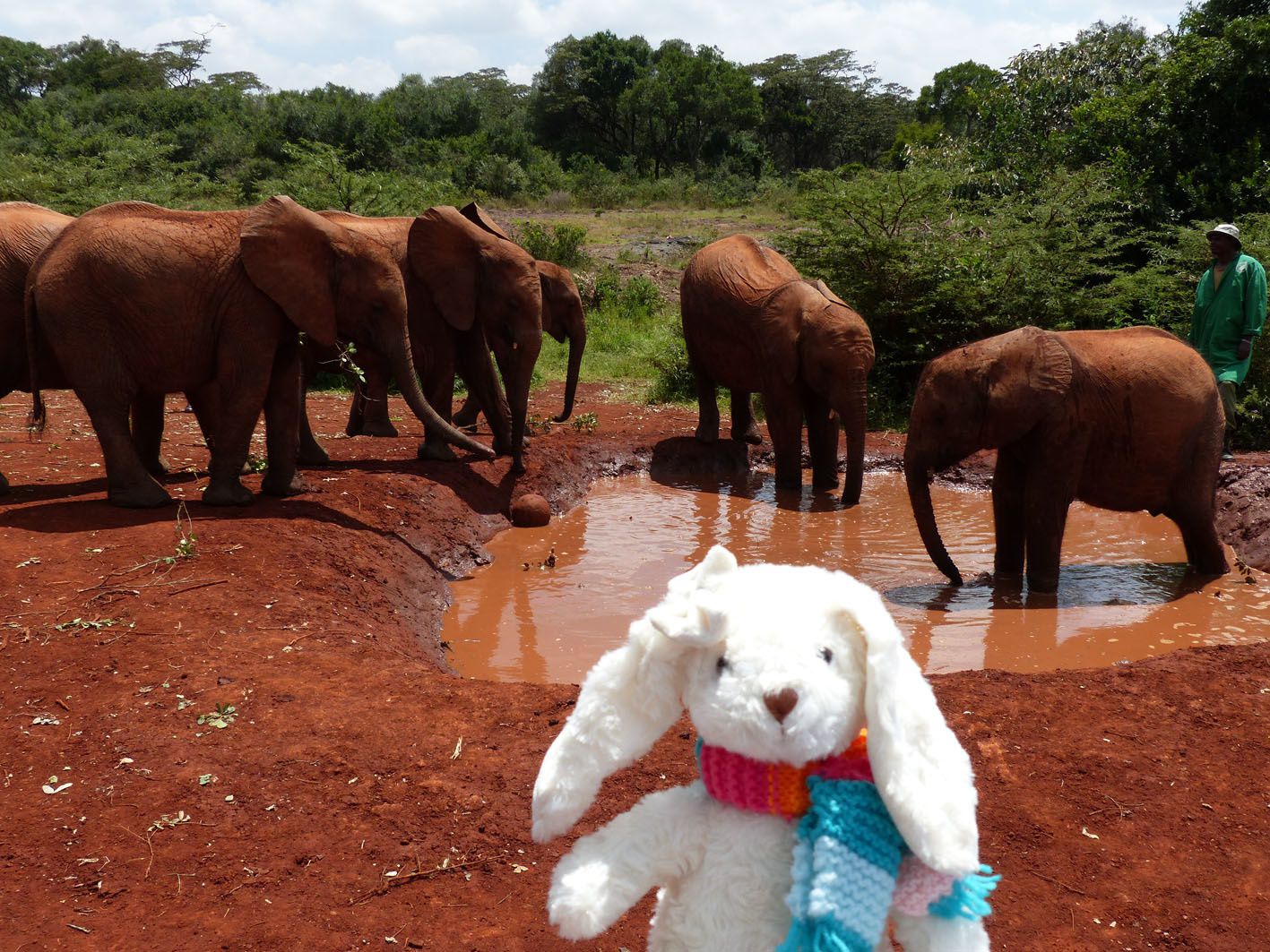 Pomme-Pidou à la rencontre des éléphanteaux orphelins
