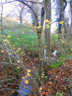 Automne Saison En Acrostiche Jak