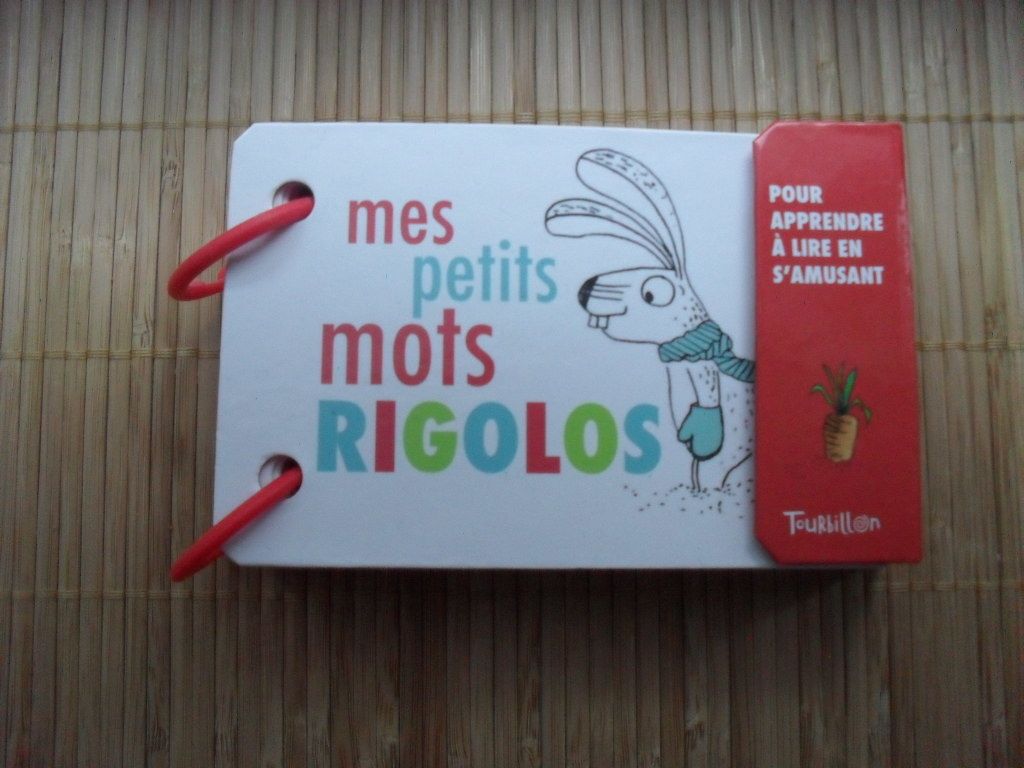 Mes petits mots rigolos pour apprendre à lire en s