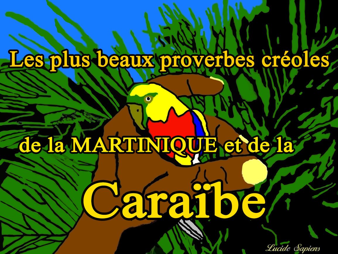 Les plus beaux proverbes créoles de la Martinique et de la Caraïbe. La Makrel de Martinique Les plus beaux proverbes créoles de la Martinique et de la Caraïbe. La Makrel de Martinique
