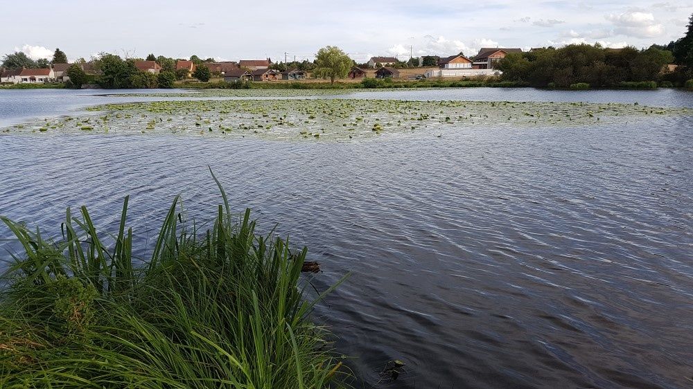 rencontres estivales du moulin
