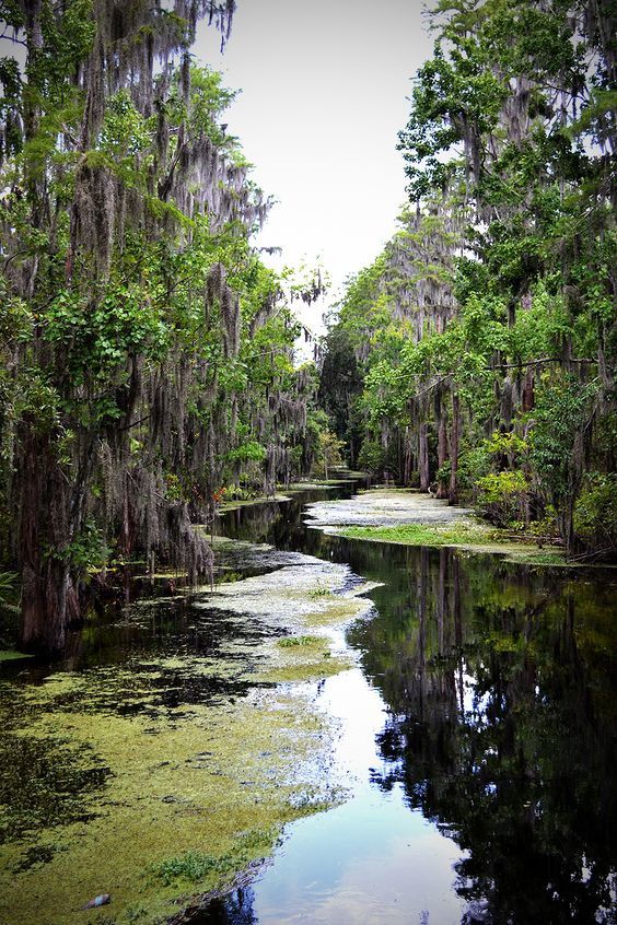 Everglade national park