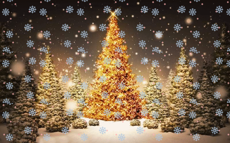 a Natale puoi